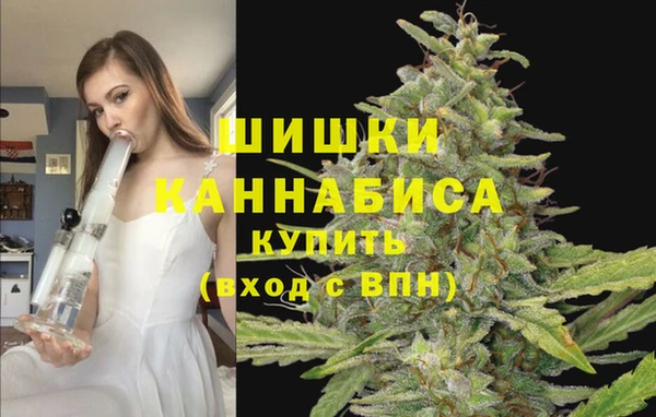 бутират Вяземский