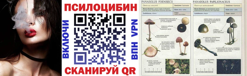 Купить  Комсомольск  Галлюциногенные грибы прущие грибы 